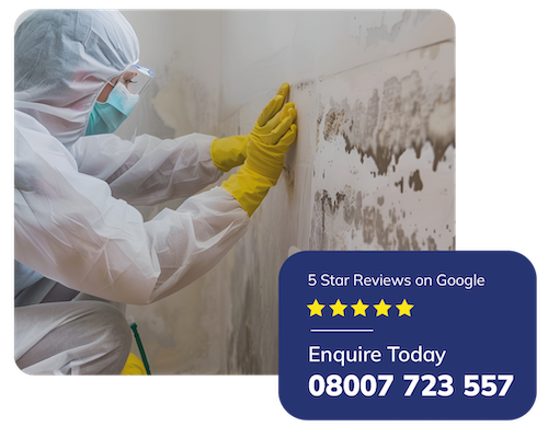 Mould removal services